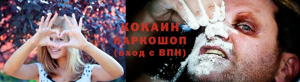 СК Няндома