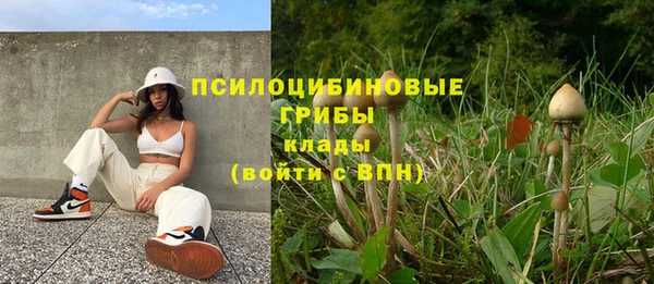 СК Няндома