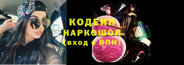 СК Няндома