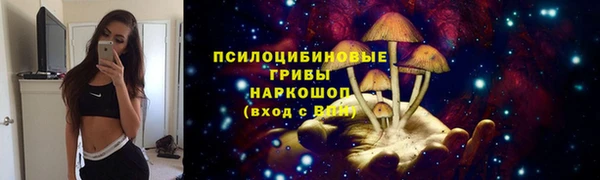 гидра Нягань