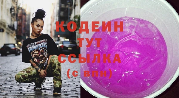 СК Няндома