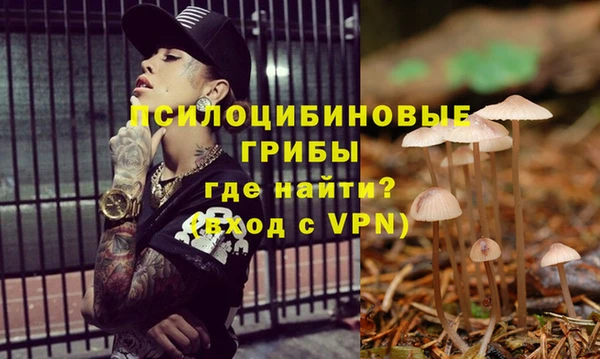 СК Няндома