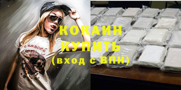 СК Няндома