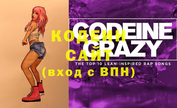 СК Няндома