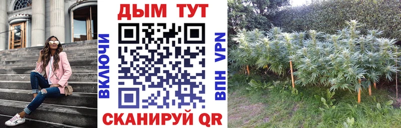 Марихуана White Widow где продают kraken вход Закаменск